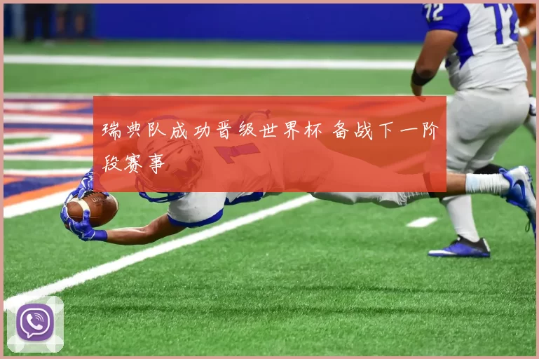 瑞典队成功晋级世界杯 备战下一阶段赛事