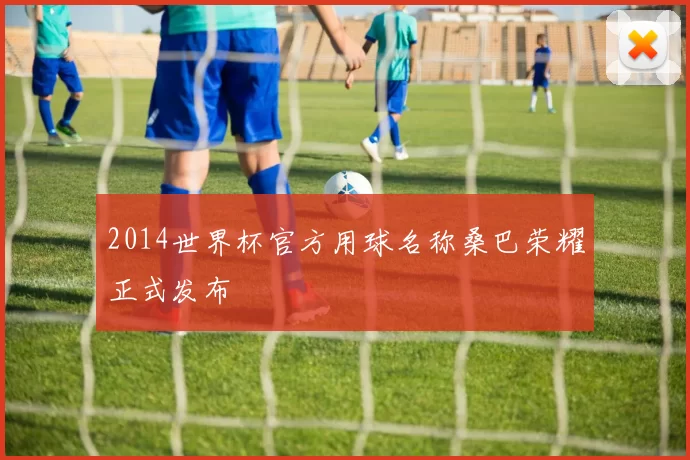 2014世界杯官方用球名称桑巴荣耀正式发布
