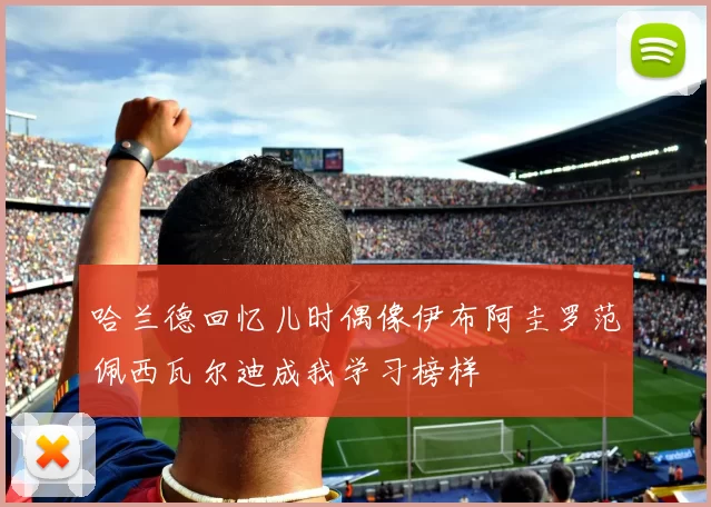 哈兰德回忆儿时偶像伊布阿圭罗范佩西瓦尔迪成我学习榜样