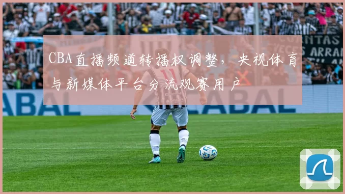 CBA直播频道转播权调整，央视体育与新媒体平台分流观赛用户