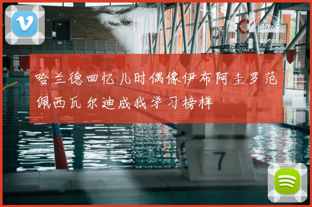 哈兰德回忆儿时偶像伊布阿圭罗范佩西瓦尔迪成我学习榜样
