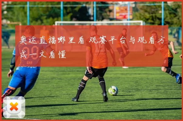 奥运直播哪里看 观赛平台与观看方式一文看懂