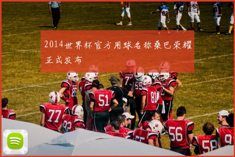 2014世界杯官方用球名称桑巴荣耀正式发布