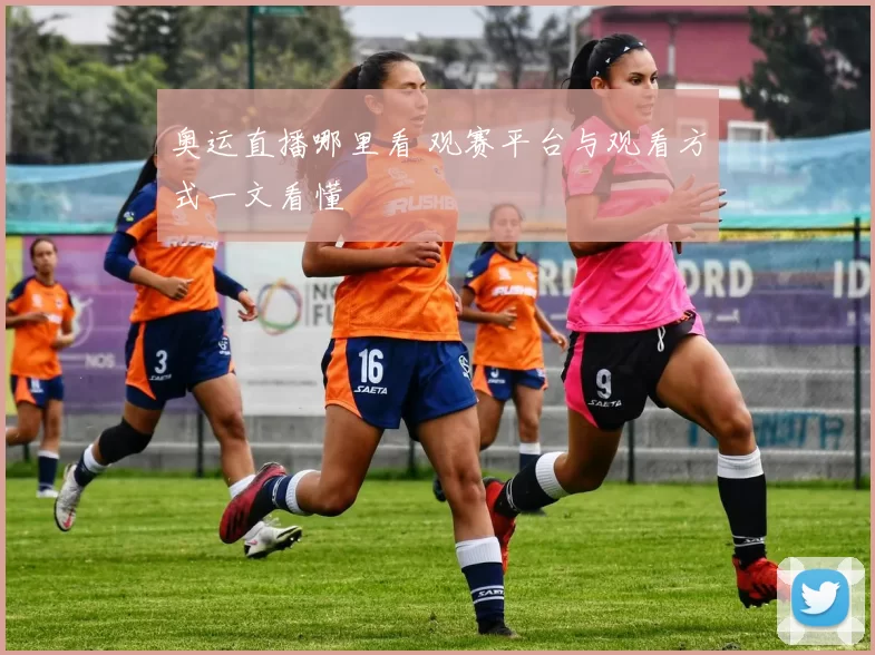 奥运直播哪里看 观赛平台与观看方式一文看懂