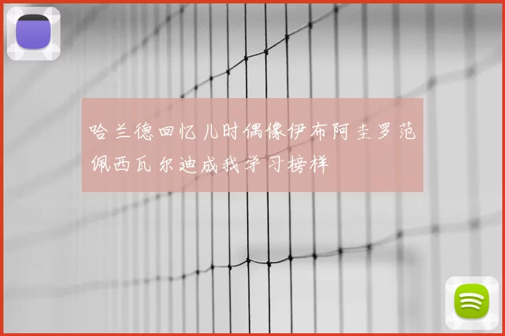 哈兰德回忆儿时偶像伊布阿圭罗范佩西瓦尔迪成我学习榜样