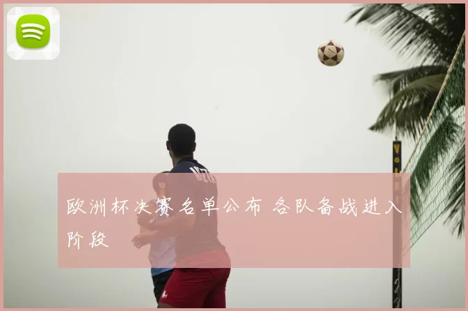 欧洲杯决赛名单公布 各队备战进入阶段