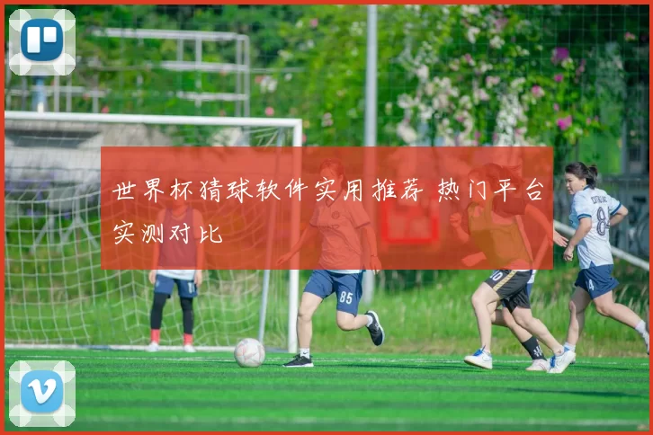 世界杯猜球软件实用推荐 热门平台实测对比