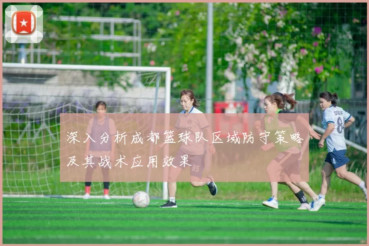 深入分析成都篮球队区域防守策略及其战术应用效果