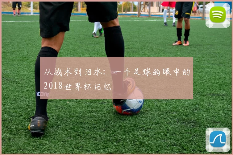 从战术到泪水：一个足球狗眼中的2018世界杯记忆