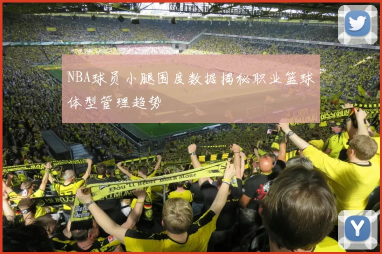 NBA球员小腿围度数据揭秘职业篮球体型管理趋势